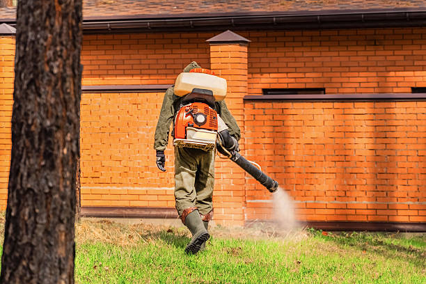 Trusted Termite Control service in Houserville, PA - Nex Pest Control